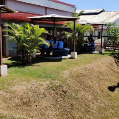 Copia De Img 20200206 105223